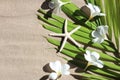 Starfish with plumeria flowers on tropical palm leaves on sand. Summer background concept Royalty Free Stock Photo