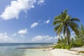 Starfish Point Beach Paradise Royalty Free Stock Photo