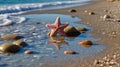 Starfish on a Beach Shoreline with a Wave Gently Washing Over the Rocks Royalty Free Stock Photo
