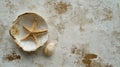 Seashell and Starfish Sitting on Rustic Textured Surface, Providing Peaceful Coastal Aesthetic Royalty Free Stock Photo