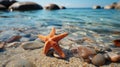 starfish on a rocky sand beach Royalty Free Stock Photo