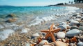 starfish on a rocky sand beach Royalty Free Stock Photo