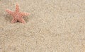 Starfish sand background Royalty Free Stock Photo