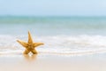 Starfish on sand beach, blue sky and soft wave background. Royalty Free Stock Photo