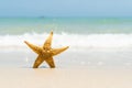 Starfish on sand beach, blue sky and soft wave background Royalty Free Stock Photo