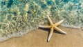 Starfish on the sand beach in clear sea water. Summer background. Summer time Royalty Free Stock Photo