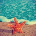 Starfish on the sand of a beach Royalty Free Stock Photo