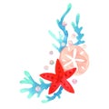 Starfish, sand dollar coral with pearl bouquet for decoration on summer Christmas holiday