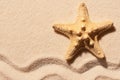 Starfish on sand with mark of wave. Summer beach background Royalty Free Stock Photo