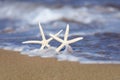 Starfish in the Sand With Seafoam Waves Royalty Free Stock Photo