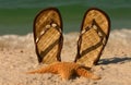 Starfish and Sandals