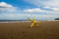 Starfish on sandy beach Royalty Free Stock Photo