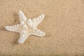 Starfish on sandy beach background for summer holiday and vacation Royalty Free Stock Photo