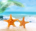 Starfish on sandy beach