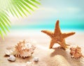 Starfish on the sandy beach and palm leaf Royalty Free Stock Photo