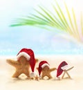 Starfish in Santa hat on the summer beach. Christmas concept Royalty Free Stock Photo