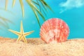 Starfish, scallop on beach sand with palm branch, sea behind. Sunny. Vacation, travel concept