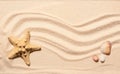 Starfish, scallop seashell and two stones on beach sand