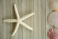 Starfish and scallop shells Royalty Free Stock Photo