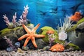 starfish among sea anemones and rocks Royalty Free Stock Photo