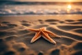 Starfish on the sea coast. Close-up of a starfish on the sea sand at sunset. AI generated Royalty Free Stock Photo