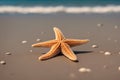 Starfish on the sea coast. Sea star on sea sand. AI generated