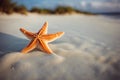 Starfish on the sea coast. Starfish on sea sand. AI generated