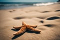 Starfish on the sea coast. Starfish on sea sand at sunset close-up. AI generated Royalty Free Stock Photo