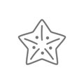Starfish, sea creatures line icon.