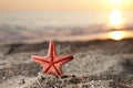 Starfish on sea sand beach Royalty Free Stock Photo