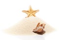 Starfish and sea shell on pile of beach sand Royalty Free Stock Photo