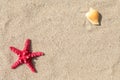 Starfish and sea shells with sand Royalty Free Stock Photo