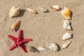 Starfish and sea shells with sand Royalty Free Stock Photo