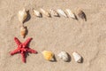 Starfish and sea shells with sand Royalty Free Stock Photo