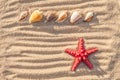 Starfish and sea shells with sand Royalty Free Stock Photo