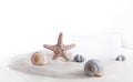 A starfish, sea shells, stones and a note on white background. Royalty Free Stock Photo