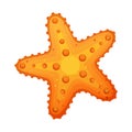 Starfish, sea star and shell. Colorful cartoon character Royalty Free Stock Photo