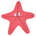 starfish sealife animal Royalty Free Stock Photo