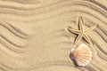 Starfish and seashell on beach sand with wave pattern, top view Royalty Free Stock Photo