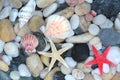 Starfish, seashell, and colorful pebble stones