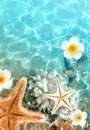 Starfish, seashell and flower on the summer beach in sea water. Summer background. Royalty Free Stock Photo