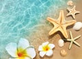 Starfish, seashell and flower on the summer beach in sea water. Summer background. Royalty Free Stock Photo