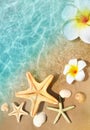 Starfish, seashell and flower on the summer beach in sea water. Summer background. Royalty Free Stock Photo