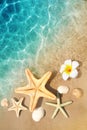 Starfish, seashell and flower on the summer beach in sea water. Summer background. Royalty Free Stock Photo