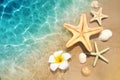 Starfish, seashell and flower on the summer beach in sea water. Summer background. Royalty Free Stock Photo