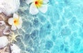 Starfish, seashell and flower on the summer beach in sea water. Summer background. Royalty Free Stock Photo