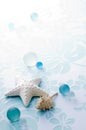 Starfish, seashell and glass balls Royalty Free Stock Photo