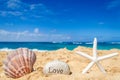 Starfish with seashell on the sandy beach Royalty Free Stock Photo