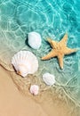 Starfish and seashell on the summer beach in sea water. Royalty Free Stock Photo