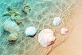 Starfish and seashell on the summer beach in sea water. Royalty Free Stock Photo